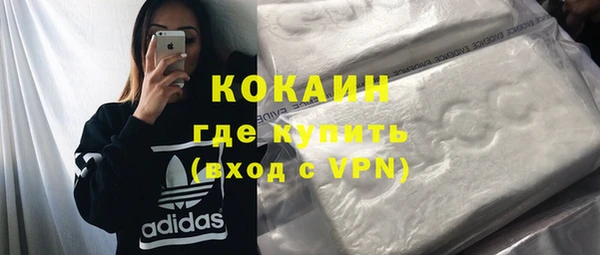 индика Пересвет