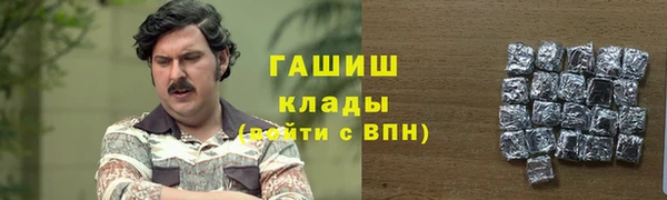 индика Пересвет