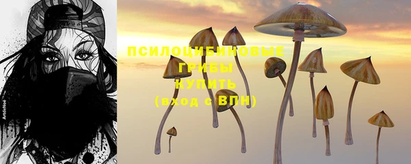 стаф Аша