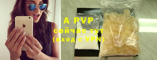 индика Пересвет