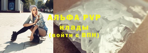 индика Пересвет