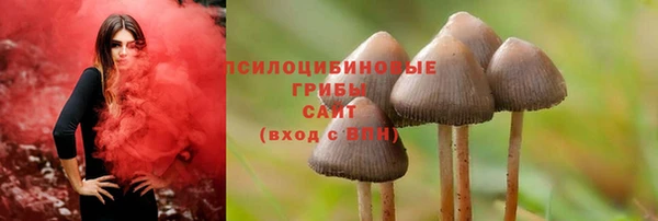 стаф Аша