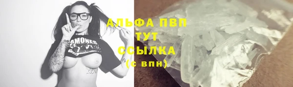 индика Пересвет