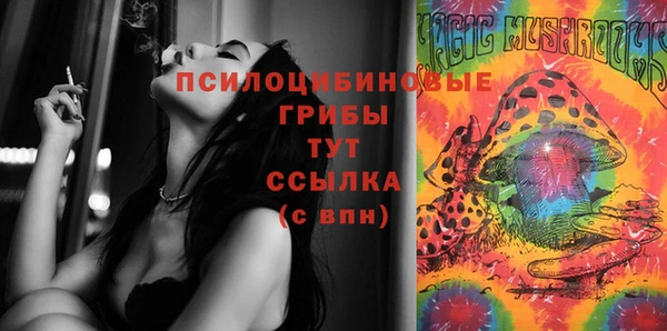 индика Пересвет
