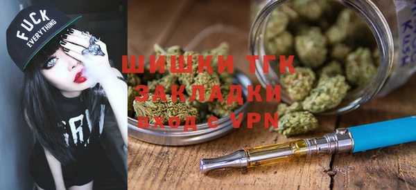 индика Пересвет