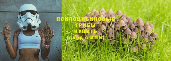 синтетический гашиш Переславль-Залесский