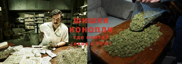 прущие грибы Красноперекопск