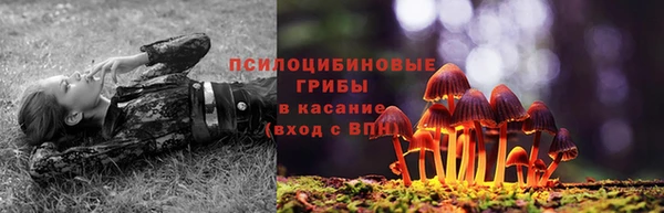 синтетический гашиш Переславль-Залесский
