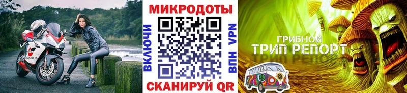 продажа наркотиков  Кулебаки  Псилоцибиновые грибы Psilocybine cubensis 