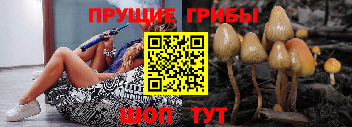 Кулебаки  Псилоцибиновые грибы ЛСД  Вход с VPN 