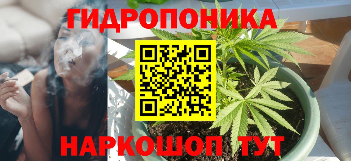 Конопля Ganja  Шишки марихуана VHQ  Канабис план  Бошки Шишки индика  Кулебаки  Вход с VPN 